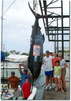 blue marlin, striped marlin, spearfish, mahimahi caught off the Kona coast of Hawaii